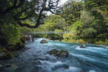 Neuseeland, Südland, Te Anau, Brücke über den Hollyford-Fluss im Fiordland-Nationalpark - RUEF02783