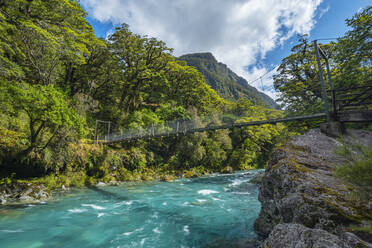 Neuseeland, Südland, Te Anau, Brücke über den Hollyford-Fluss im Fiordland-Nationalpark - RUEF02784