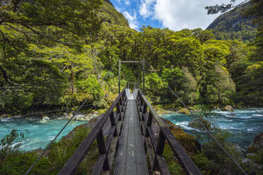 Neuseeland, Südland, Te Anau, Brücke über den Hollyford-Fluss im Fiordland-Nationalpark - RUEF02785