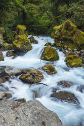 Neuseeland, Südland, Te Anau, Langzeitbelichtung des rauschenden Marian Creek im Fiordland National Park - RUEF02787