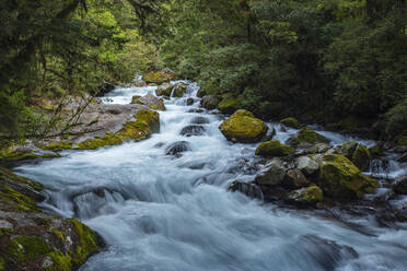 Neuseeland, Südland, Te Anau, Langzeitbelichtung des rauschenden Marian Creek im Fiordland National Park - RUEF02789