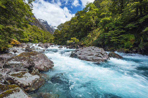 New Zealand, Southland, Te Anau, Long exposure of Hollyford River rushing in Fiordland National Park - RUEF02795