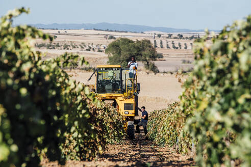 Weinlesemaschine und Jungwinzer bei der Weinlese, Cuenca, Spanien - OCMF01190