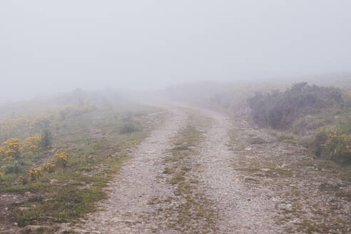 Spanien, Kantabrien, Schmutzige Landstraße in Nebel gehüllt - FVSF00110