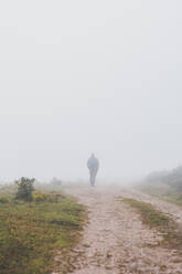 Spain, Cantabria, Silhouette of lone man walking along countryside dirt road shrouded in fog - FVSF00112
