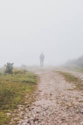 Spanien, Kantabrien, Silhouette eines einsamen Mannes, der auf einem nebelverhangenen Feldweg geht - FVSF00113