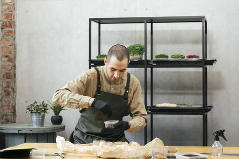 Porträt eines Mannes, der eine Schachtel mit Microgreens hält, lizenzfreies Stockfoto