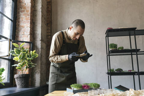 Man taking smartphone picture of microgreens on table stock photo