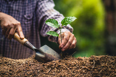 Midsection Of Man Planting Plant In Garden - EYF03836