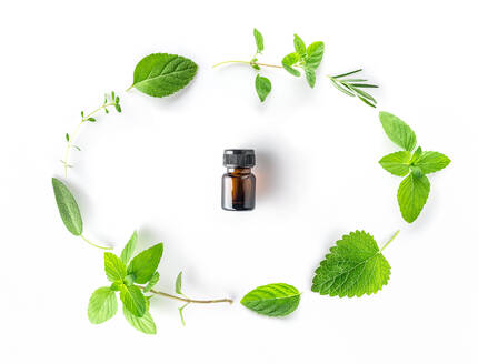 High Angle View Of Bottle With Herbs Arranged On White Background - EYF03842