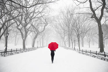 Rückansicht einer Frau, die einen roten Regenschirm während eines Schneesturms im Central Park trägt - EYF04116