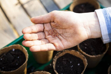 Girl filling nursery pots with soil and seeds - LVF08795