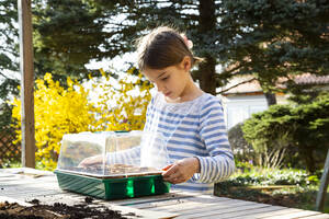Girl covering her little greenhouse - LVF08797