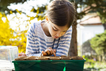 Girl looking at nursery pots with soil in her little greenhouse - LVF08799