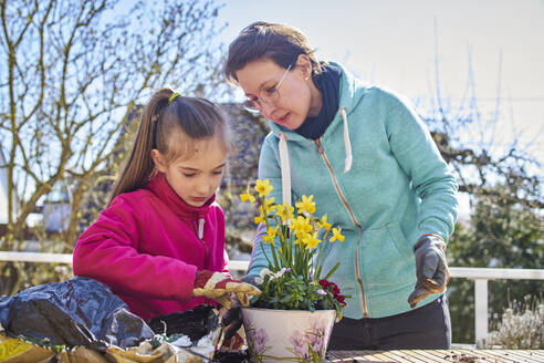 Mutter und Tochter pflanzen gemeinsam Blumen auf dem Balkon - DIKF00444