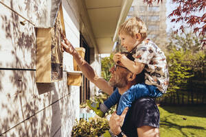 Vater und Sohn inspizieren ihr Insektenhotel mit Bienen - MFF05565