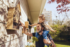 Vater und Sohn inspizieren ihr Insektenhotel mit Bienen - MFF05567