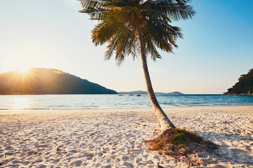 Scenic View Of Sea Against Clear Sky - EYF04220