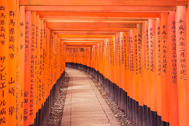 Fußweg inmitten orangefarbener Torii-Tore mit chinesischer Schrift - EYF04265