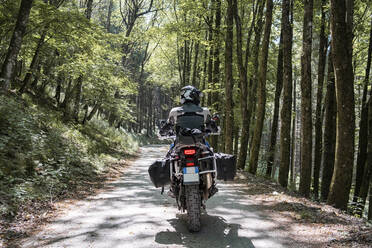 Motorradfahrer bei einer Fahrt auf einem Waldweg - FBAF01506