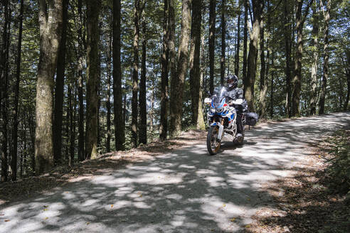 Motorradfahrer bei einer Fahrt auf einem Waldweg - FBAF01509