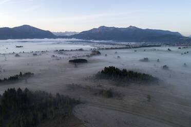 Deutschland, Bayern, Drohnenansicht des in Morgennebel gehüllten Loisach-Kochelsee-Moore-Moores - RUEF02804