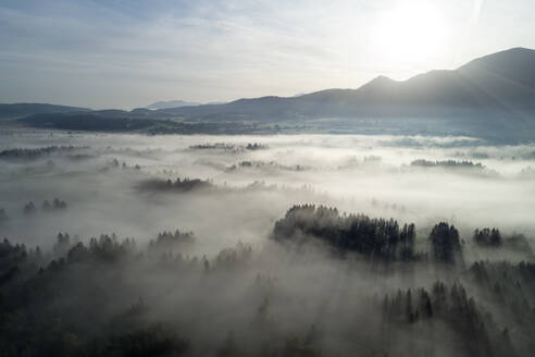 Deutschland, Bayern, Garmisch-Partenkirchen, Drohnenansicht des Murnauer Moos bei nebligem Sonnenaufgang - RUEF02806