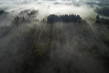 Germany, Bavaria, Garmisch-Partenkirchen, Drone view of Murnauer Moos wetland at foggy dawn - RUEF02807