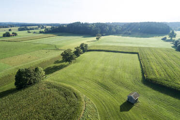 Deutschland, Bayern, Drone Blick auf grüne Landschaft Wiesen und Kornfelder im Sommer - RUEF02809