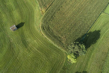 Deutschland, Bayern, Drone Blick auf grüne Landschaft Wiesen und Kornfeld im Sommer - RUEF02811