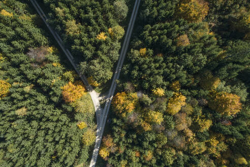 Germany, Baden-Wurttemberg, Heidenheim an der Brenz, Drone view of forked road in autumn forest - RUEF02816