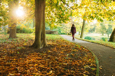 Frau spazieren im Park im Herbst - EYF04316