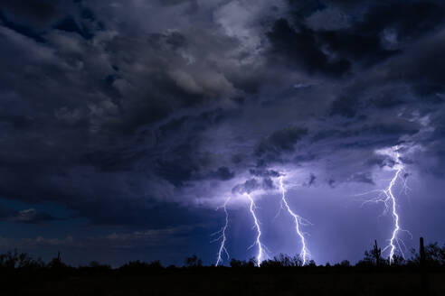 Low Angle View of Lightning Over Silhouette Landschaft bei Nacht - EYF04463