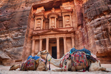 Camels Resting By Petra - EYF04570
