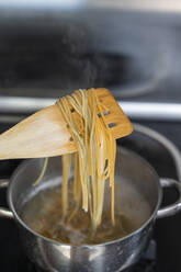 Fresh, cooked pasta on a spatula, close up - AFVF06043