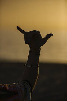 Silhouette of hand showing shaka sign - MPPF00830