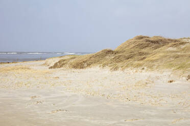 Deutschland, Schleswig-Holstein, Sankt Peter-Ording, Grasbewachsene Sanddünen im Nationalpark Wattenmeer - WIF04232