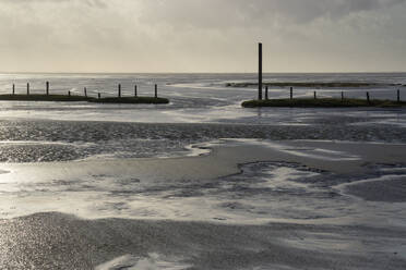 Germany, Schleswig-Holstein, Sankt Peter-Ording, Coastal beach of Wadden Sea National Park at dusk - WIF04237