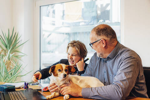 Glücklicher Vater und Sohn zu Hause mit Hund auf dem Schreibtisch, lizenzfreies Stockfoto