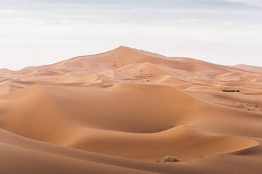 Dunes of Merzouga desert, Morocco - DAMF00354