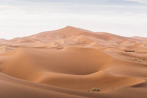 Dünen der Wüste Merzouga, Marokko - DAMF00354