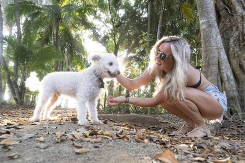 Schöne Frau spielt mit ihrem Hund am Strand, Costa Rica - AMUF00051