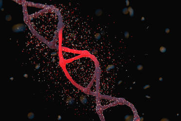 Digital erzeugtes Bild eines DNA-Modells - EYF04877