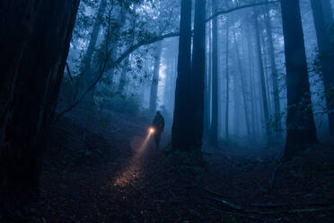 Man Holding Illuminated Flashlight By Trees In Forest - EYF05017