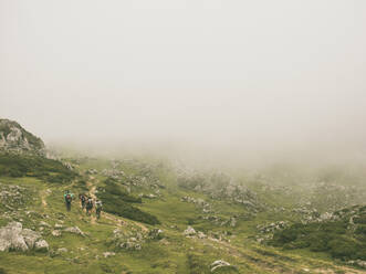 Spain, Cantabria, Group of backpackers hiking in Picos de Europa during foggy weather - FVSF00153