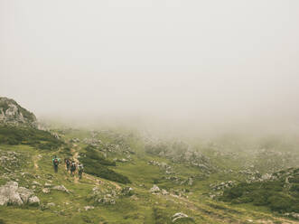 Spanien, Kantabrien, Gruppe von Rucksacktouristen beim Wandern in den Picos de Europa bei nebligem Wetter - FVSF00153