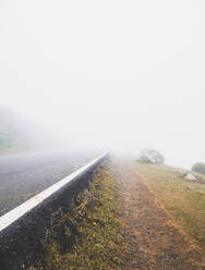 Spanien, Kantabrien, Dichter Nebel umhüllt Asphaltstraße in Picos de Europa - FVSF00160