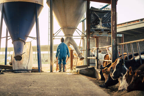 Junger Landwirt im blauen Overall beim Entladen von Futtermitteln aus einem Silo in eine Schubkarre - ACPF00702