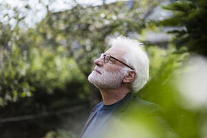 Bärtiger älterer Mann mit weißem Haar, der im Garten in die Ferne schaut - JOSEF00257