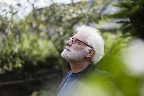 Bearded senior man with white hair looking at distance in garden - JOSEF00257